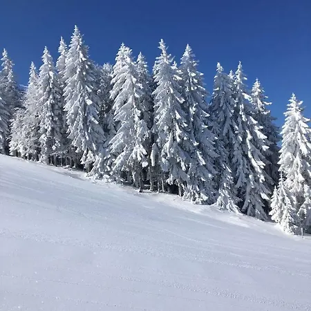 Lejlighed Wehrmeister *